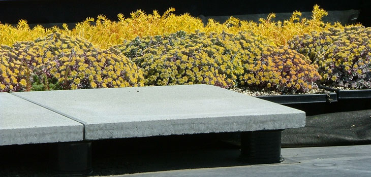 modern_details_green3-paveronpedestal-greenroofsedum