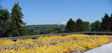 modern_exteriors_green3-greenroof-sedum